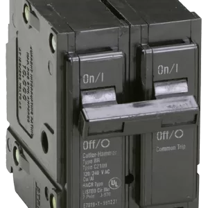 BREAKER: BR2100 100A 2P
