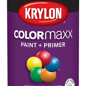 COLOR MAXX RICH PLUM GLS