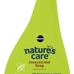 INSECTICIDAL SOAP SPRAY 24OZ