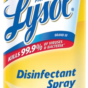 LYSOL ORIG SCENT 19OZ