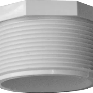 PLUG THREADED 2"