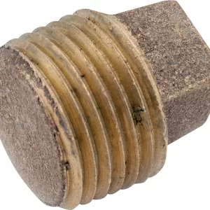 PLUG 1/4" BRASS