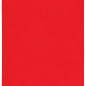 SANDING SHEET 1/4 60G CO 10P