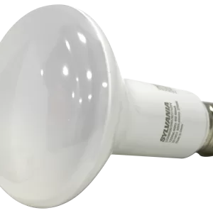 FLOOD/SPOTLIGHT 65W E26 WW