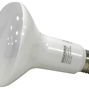 FLOOD/SPOTLIGHT 65W E26 BW