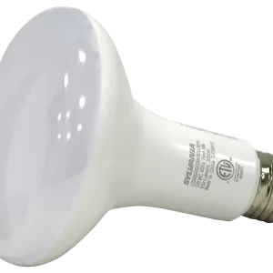 FLOOD/SPOTLIGHT 65W CW 2PK