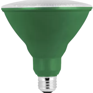 FLOOD/SPOTLIGHT GREEN E26