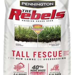 GRASS SEED FESCUE TALL 40LB