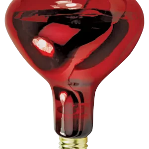 HEAT LAMP RED 250W R40