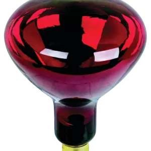 HEAT LAMP RED 250W