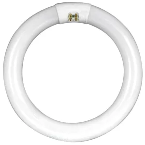 CIRCLE BULB 40W T10 CW