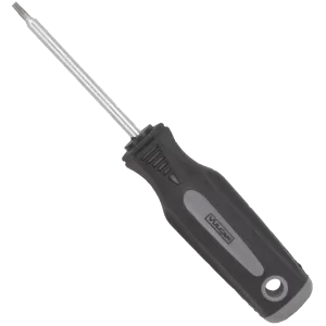 SCREWDRIVER STAR T10 X 3"