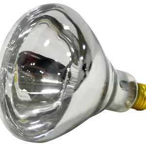 HEAT LAMP CLEAR 250W