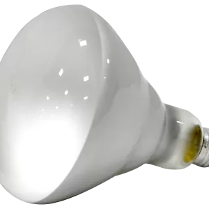 BROODER HEAT LAMP 125W