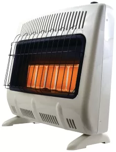 GAS HEATER 30K BTU LP 5P