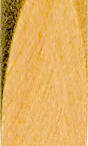 KREG WOODEN PLUGS PAINT GR