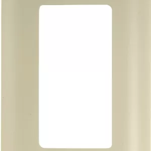 ROCKER/GFCI PLATE ALM 1G SS