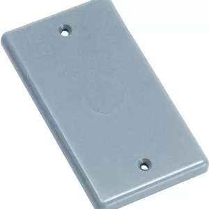 BLANK PLATE GRAY 1G