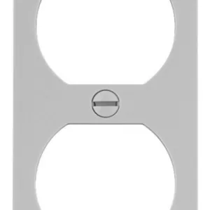 RECPTACLE CENTER PLATE WHITE