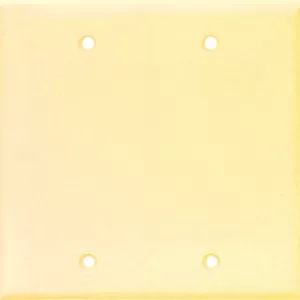 BLANK PLATE IVORY 2G