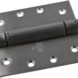 SPRING HINGE SS 4"
