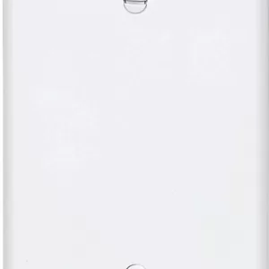 BLANK PLATE WHITE 1G