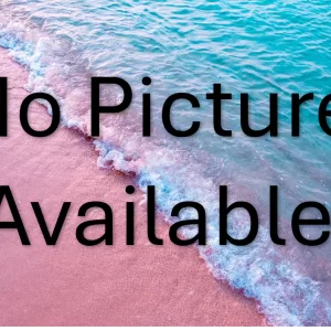 VACUUM HOUSE NOZZLE KIT